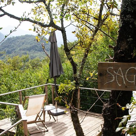 Hoopoe Glamping Hotel Virpazar Exterior photo